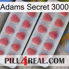 Adams Secret 3000 19